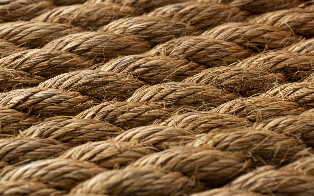 Starting a Coir Rope Making Business